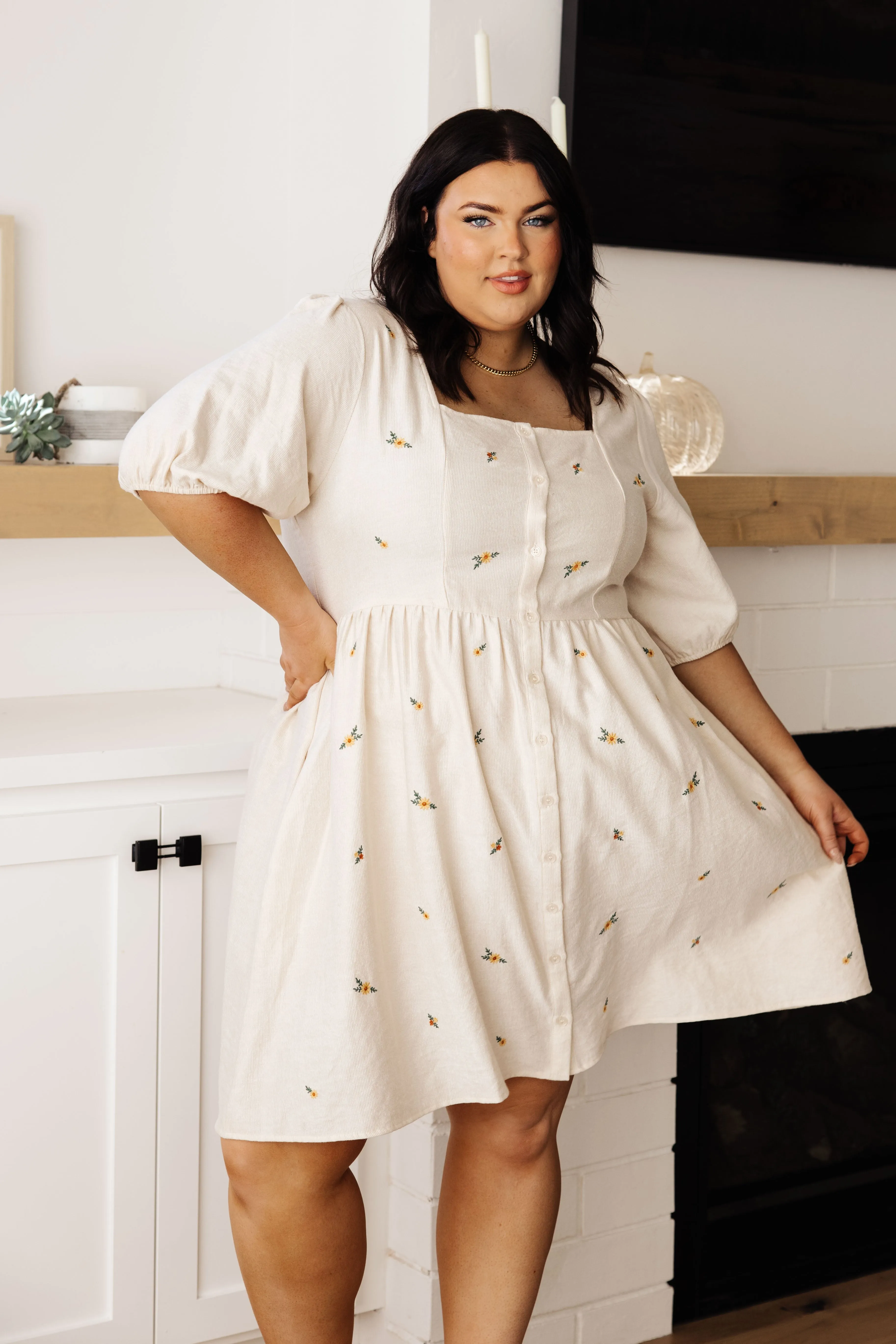 Dream a Little Dream Embroidered Dress (Online Exclusive)